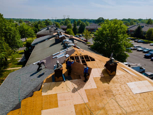 Trusted Roof Replacement service in Ridgeway, NC - Brentwood Metal Roofing